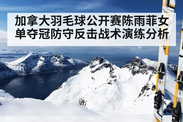 加拿大羽毛球公开赛陈雨菲女单夺冠防守反击战术演练分析